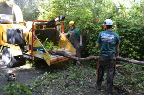 tree services Leona Valley